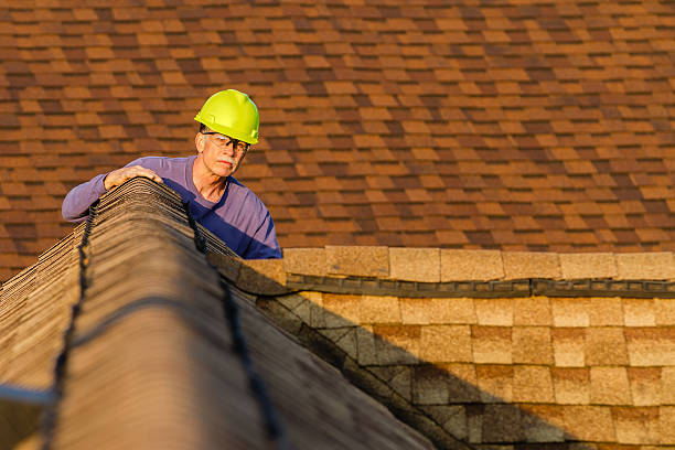 Best Roof Gutter Cleaning  in Evergreen, CO