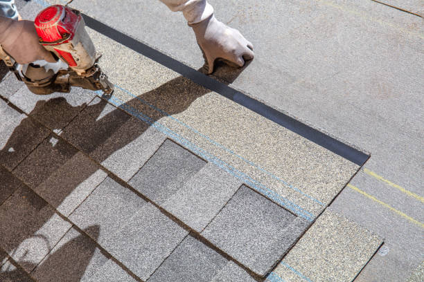 Best Gutter Installation and Roofing  in Evergreen, CO